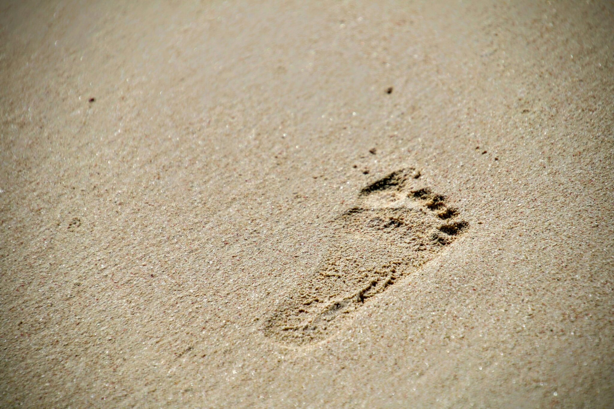 A picture of a single footprint in the sand.